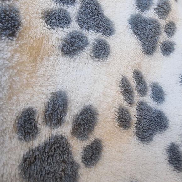 Love to Lounge Cozy Fleece Dachshund Dog Ladies 2 Piece Pajama Set πΎπβπ¦Ί - Picture 6 of 10